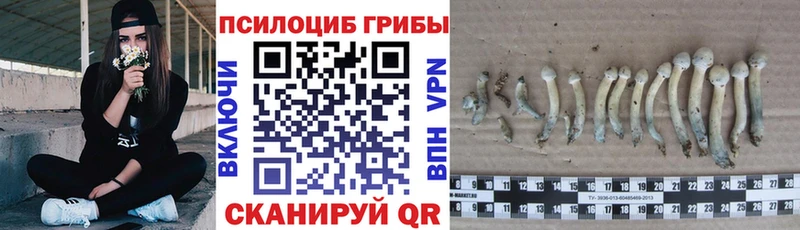 Псилоцибиновые грибы MAGIC MUSHROOMS  Могоча 